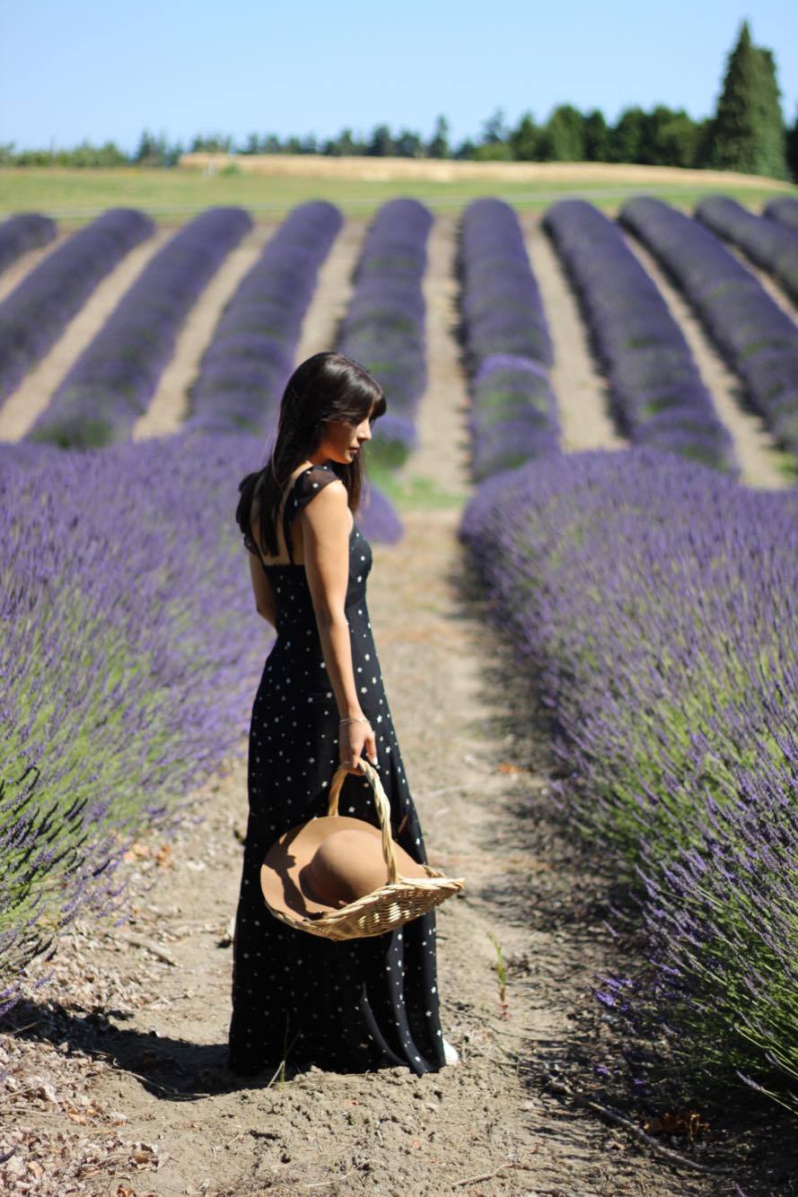 Seattle Lavender Fields: Day Trip to Sequim, Washington