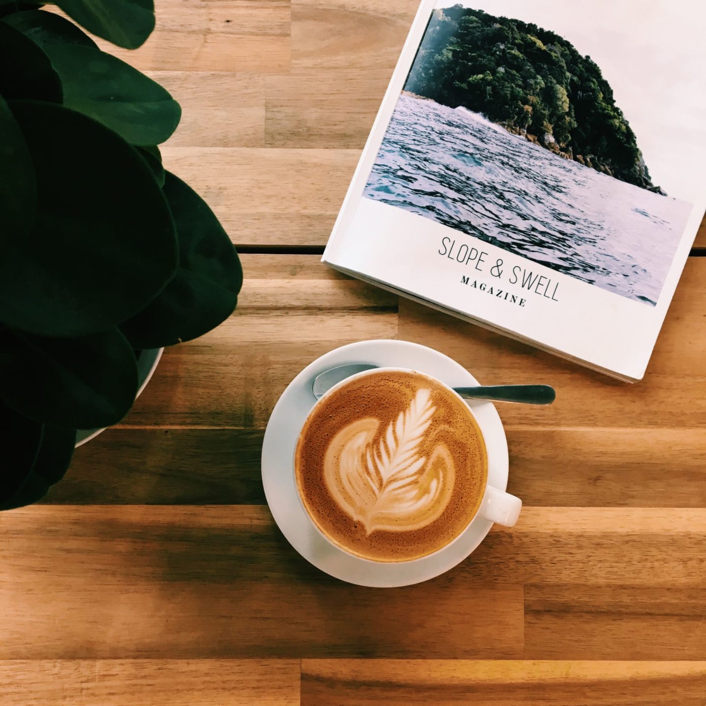 Most Instagrammable Coffee Shops in San Diego, CA