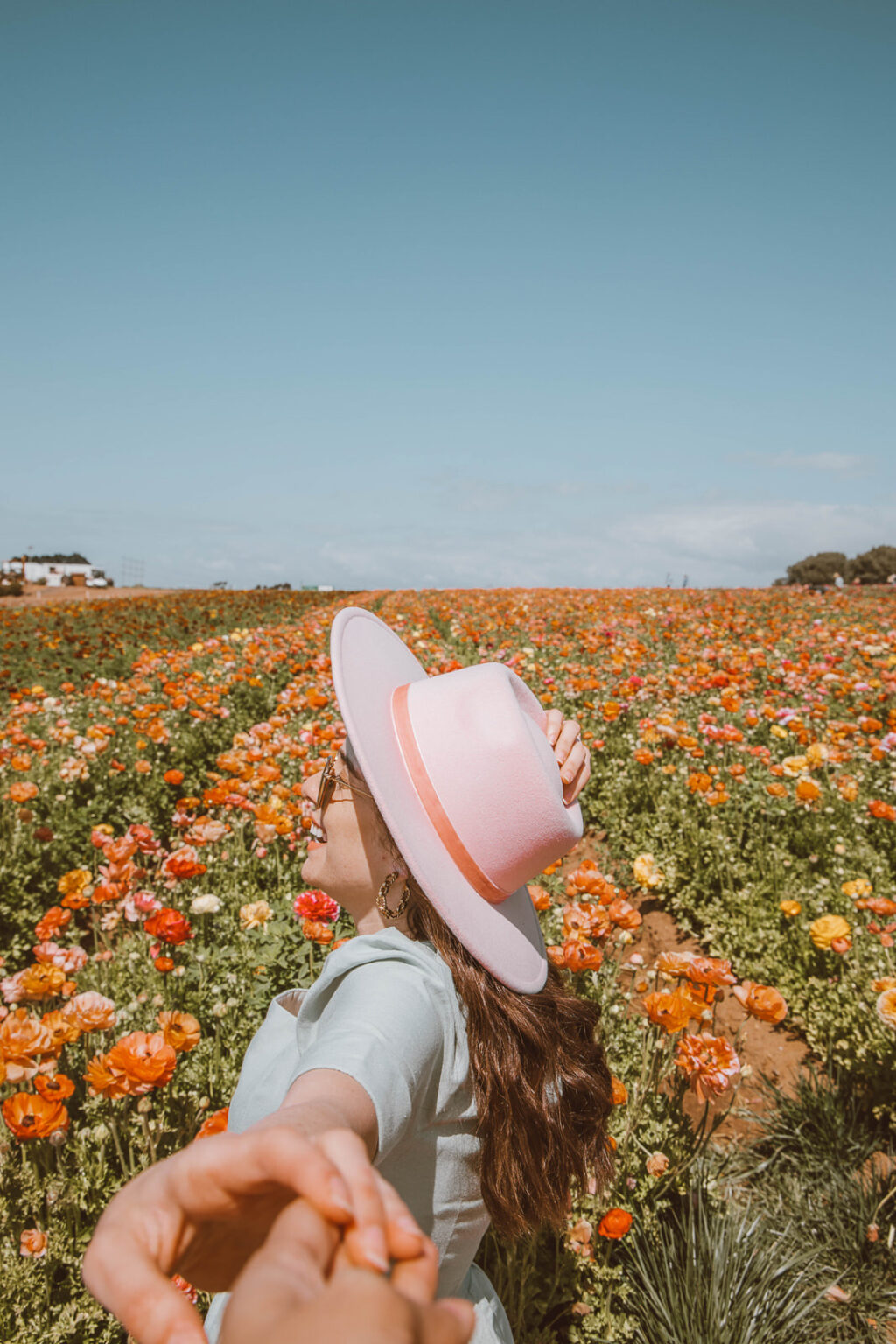 Best flower fields in California: Everything you need to know for visiting