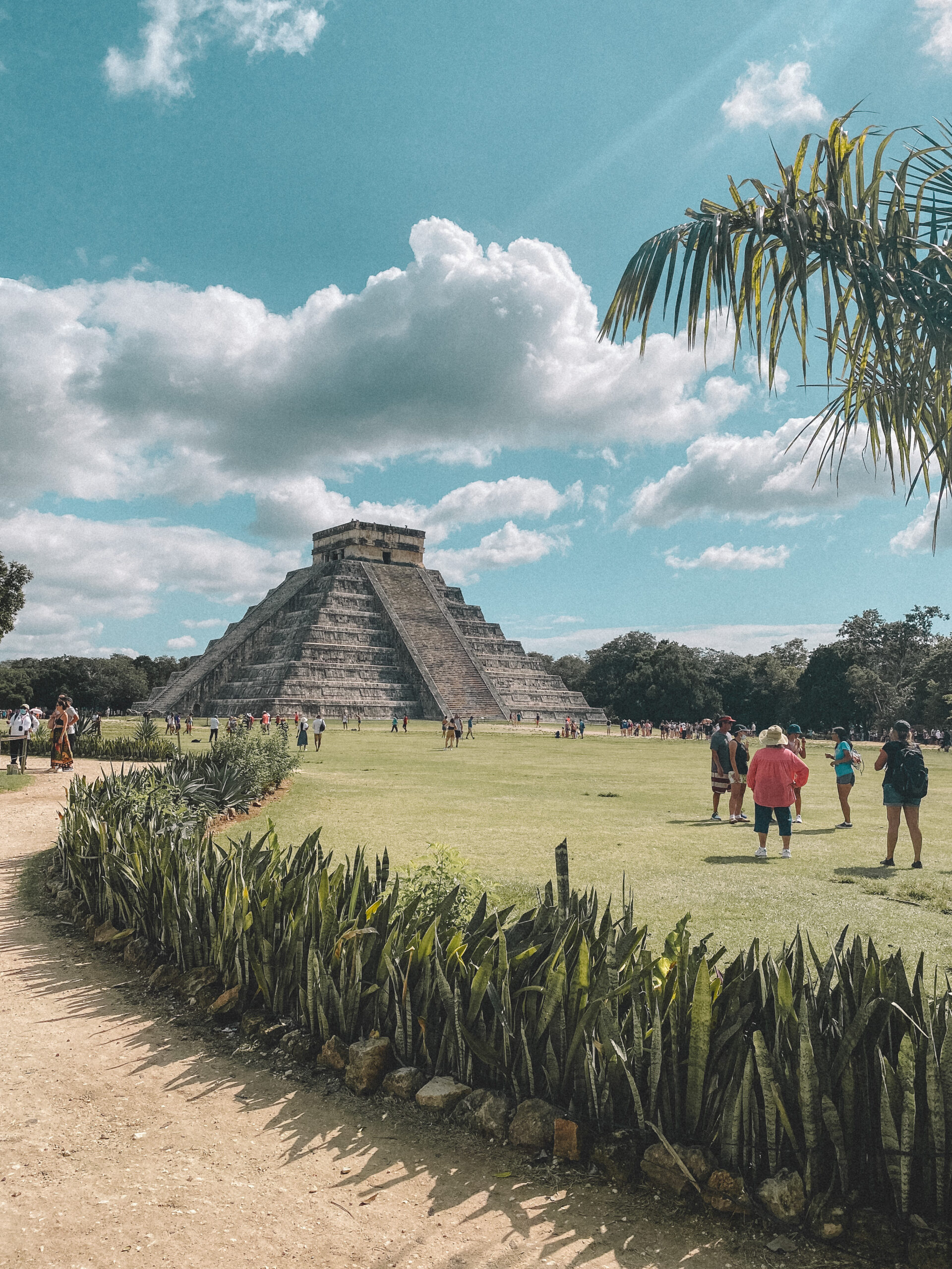 7 Best Day Trip Ideas from Mérida, Mexico - Palm Trees & Pellegrino