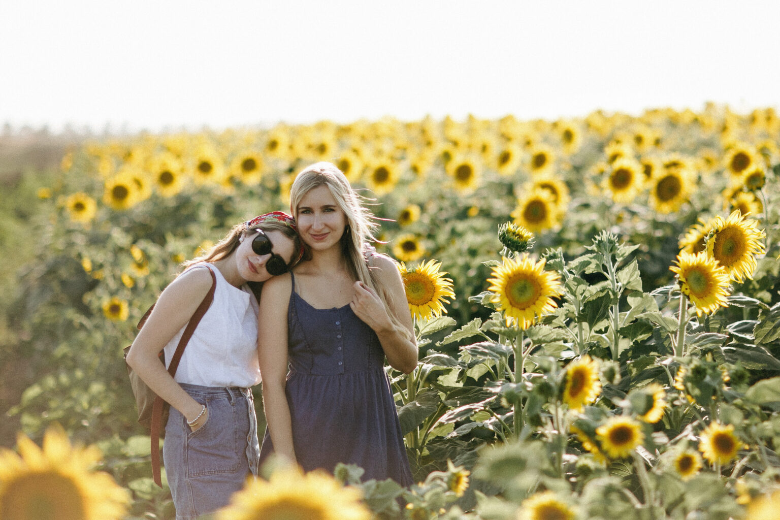 8 Flower Field Photoshoot Ideas to try this season