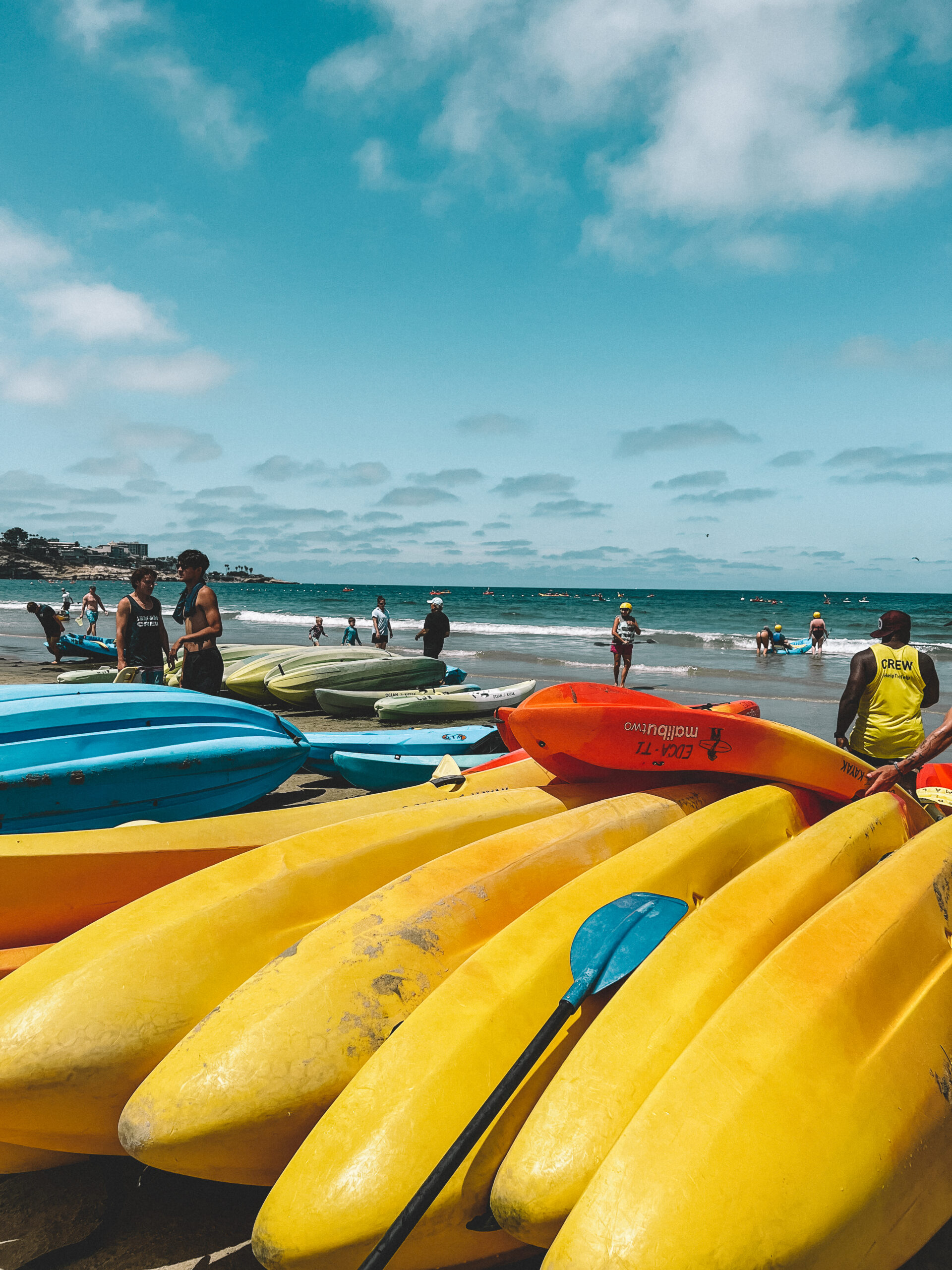 Your Ultimate Guide To 15 Fun San Diego Activities