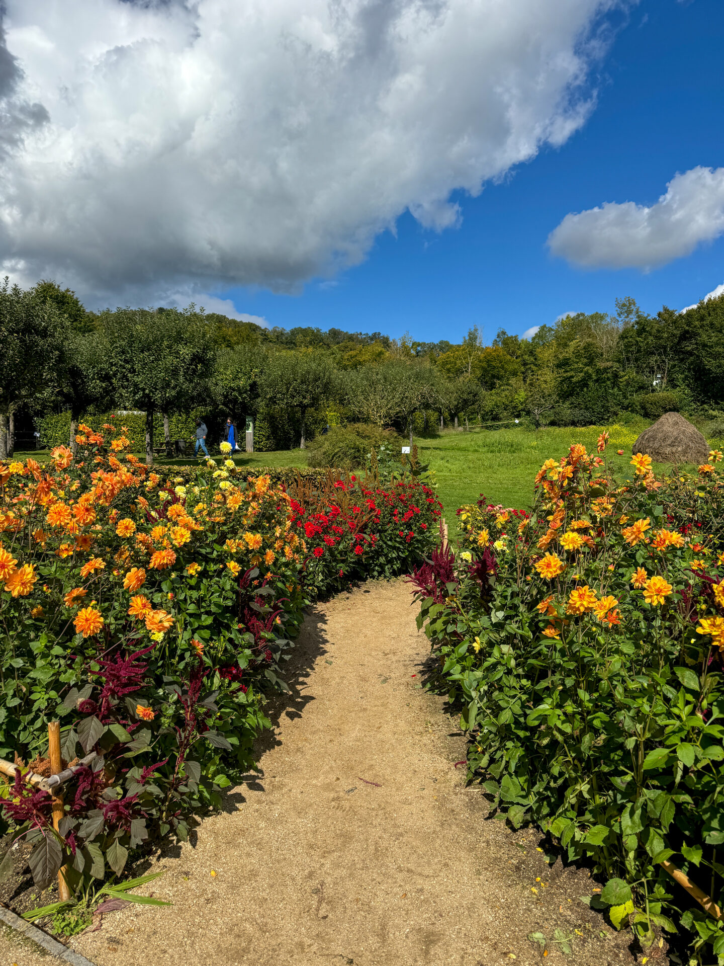 paris day trip to giverny